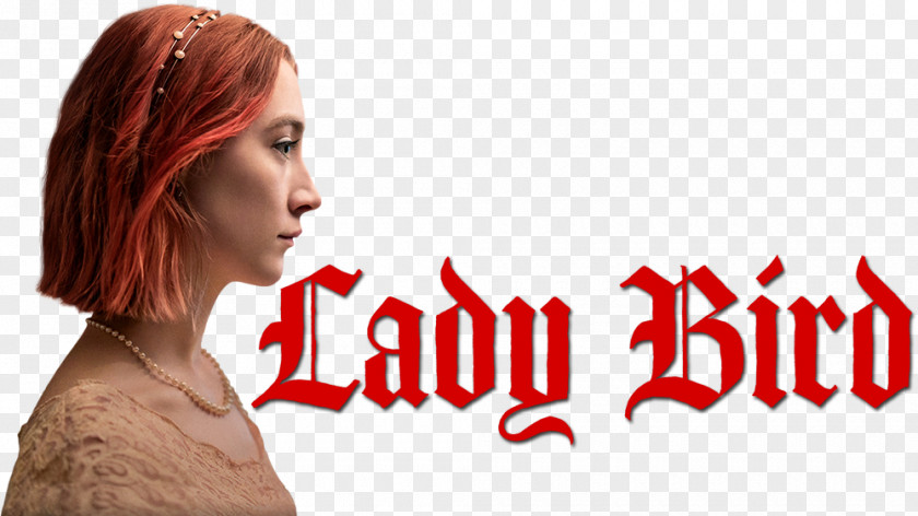 Actor Lady Bird Greta Gerwig Film PNG