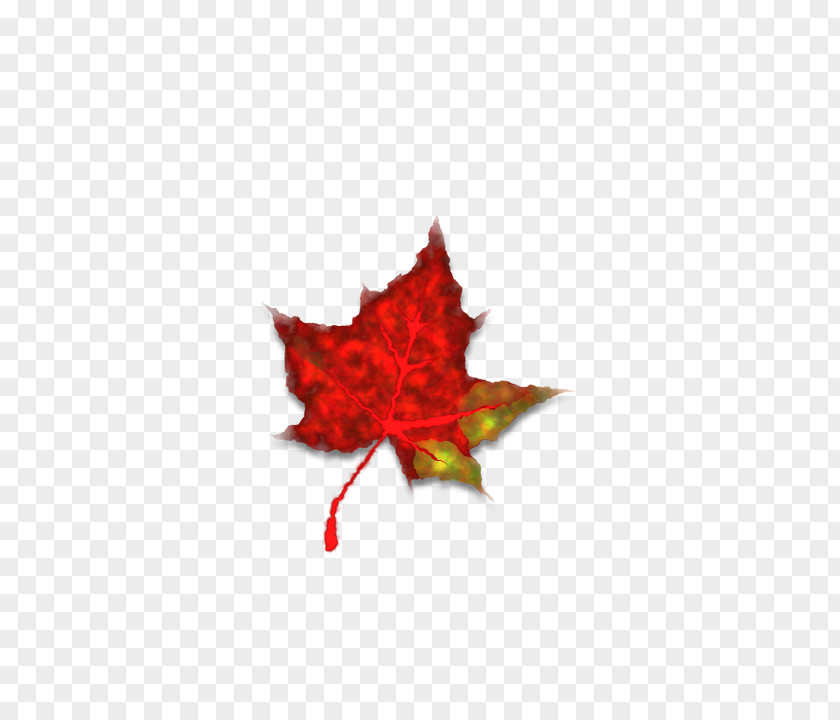Autumn Leaves Season Wind Red Icon PNG
