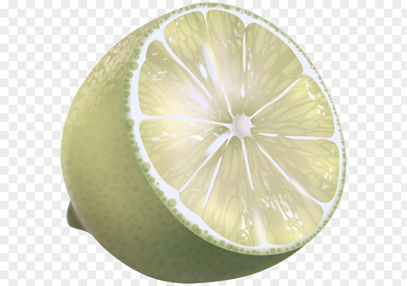 Citrus Lime Lemon Fruit Persian PNG