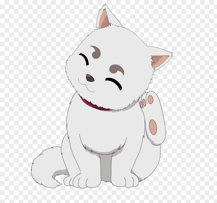 Dog Whiskers Kitten Cat Snout PNG