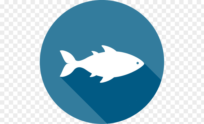 Fish Vector Graphics Seafood PNG