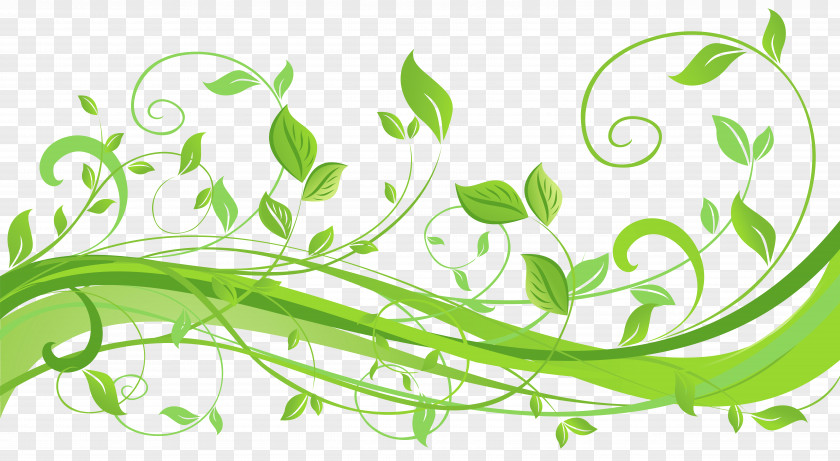 Spring Decoration With Leaves Transparent Clip Art Image PNG