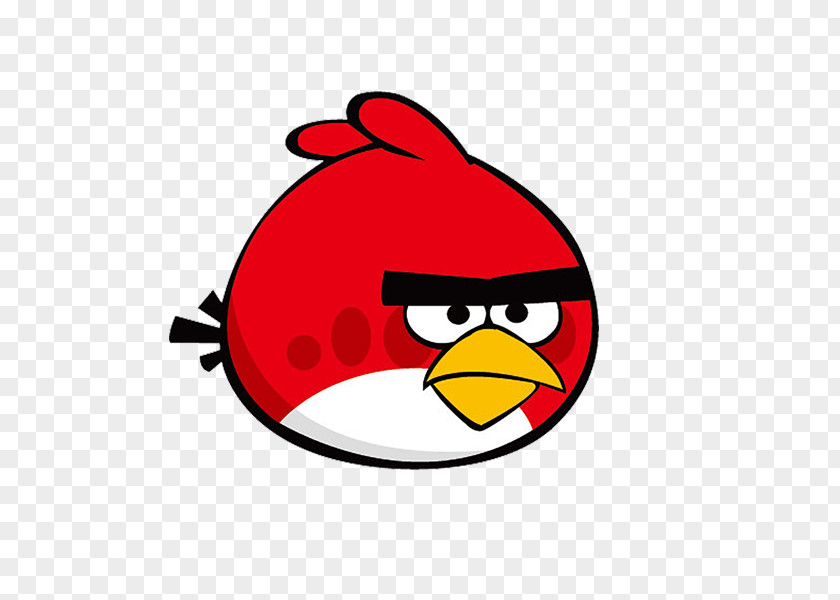 Birds Angry Seasons PNG