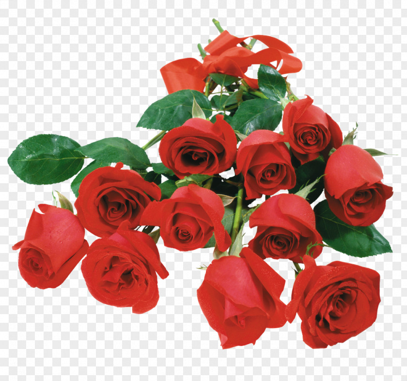 Bouquet Of Flowers Desktop Wallpaper Rose Environment PNG