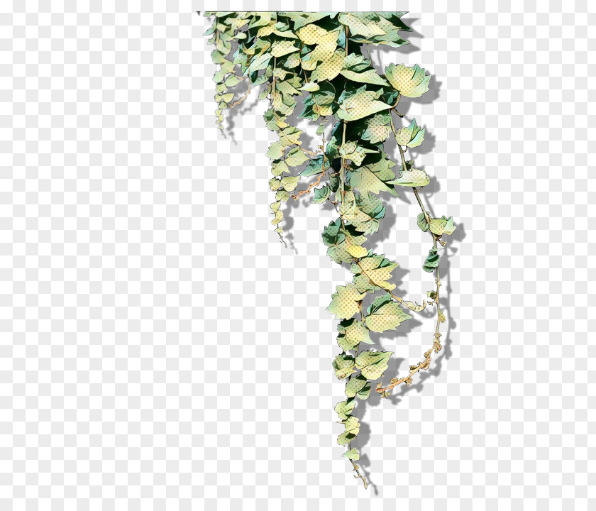 Clip Art River Birch Image Transparency PNG