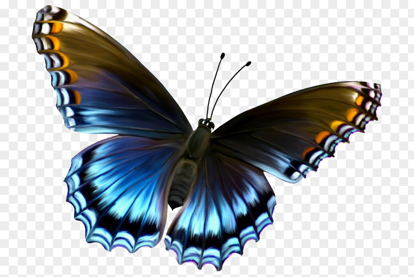 Flying Butterflies Butterfly Clip Art PNG