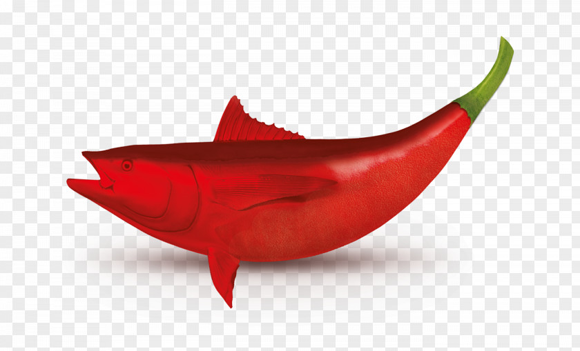 Seafood Chili Pepper PNG