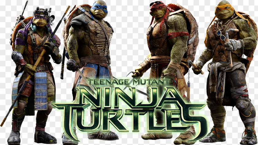 Turtle Raphael Michaelangelo Leonardo Splinter PNG