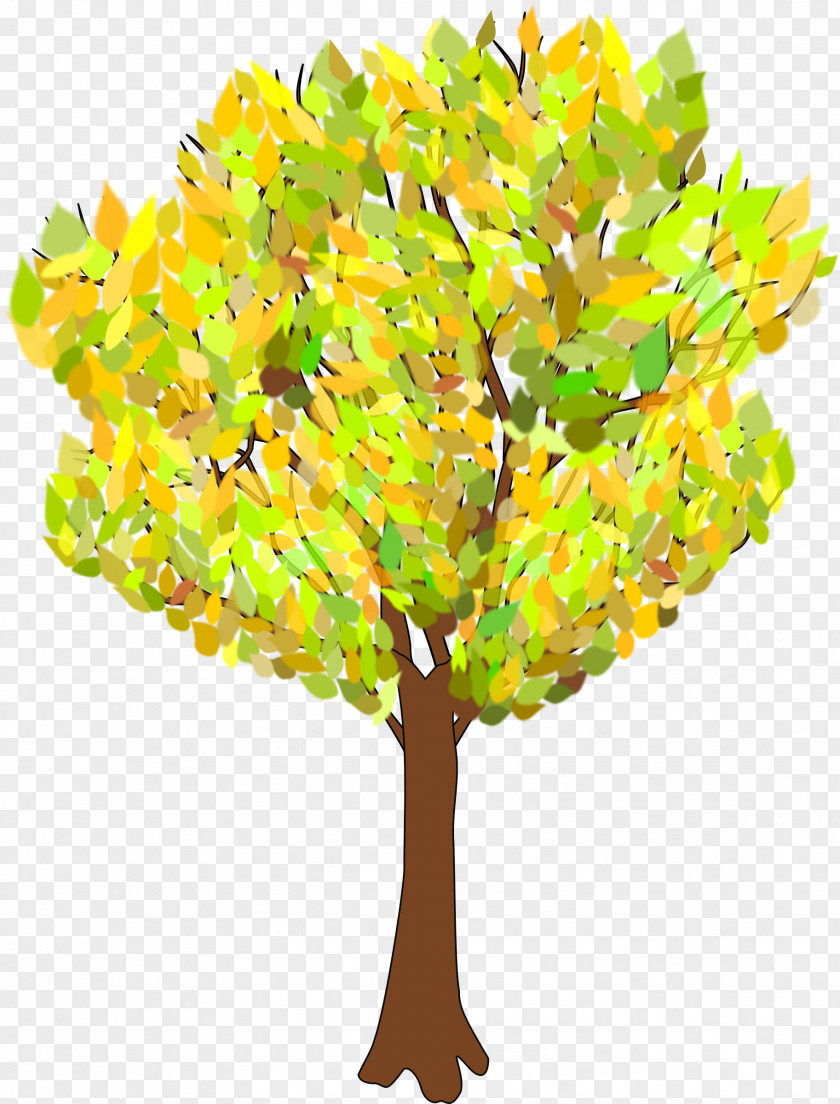 Beautiful Autumn Trees Tree Branch Clip Art PNG