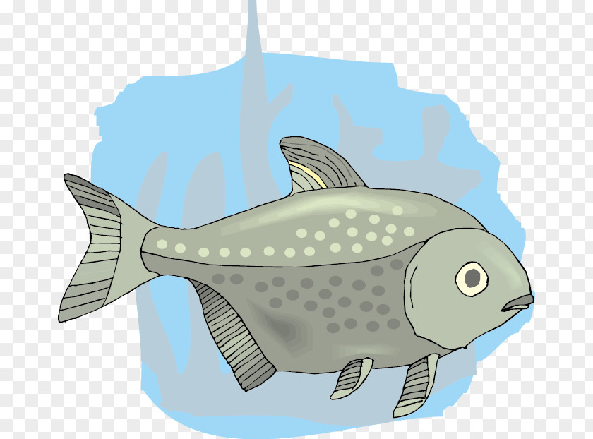 Cute Cartoon,fish Cartoon Drawing PNG