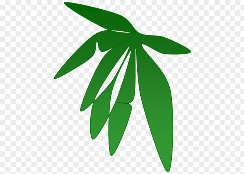 Daun Vector Leaf Plant Stem Font PNG