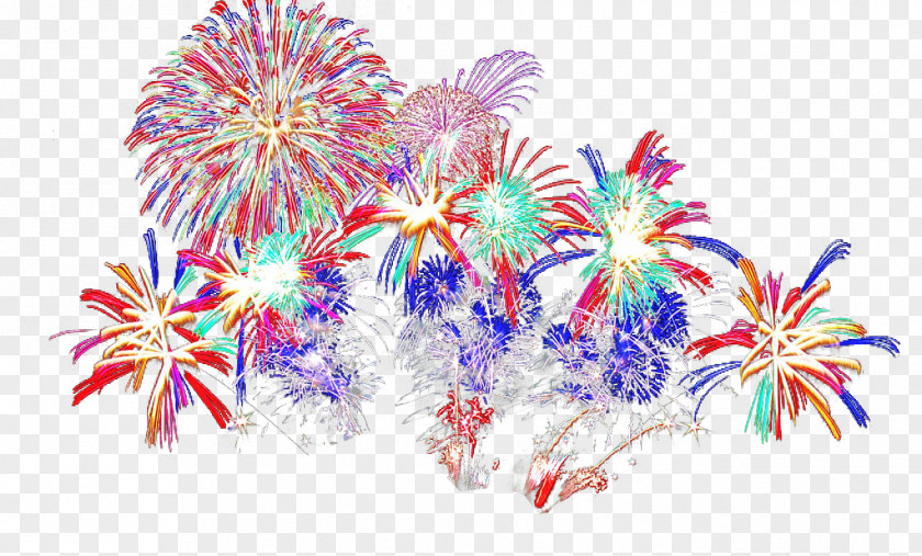Fireworks Image Clip Art PNG