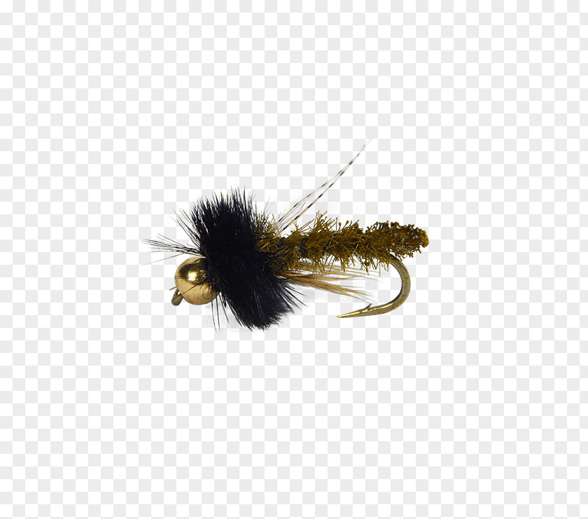Fly Caddisflies Insect Pupa Gold PNG