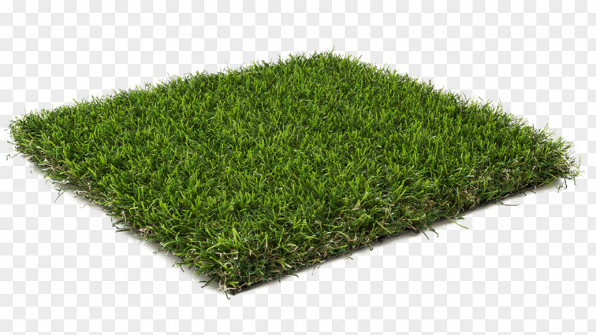 Lush Grass Artificial Turf Lawn Landscaping Garden Sod PNG