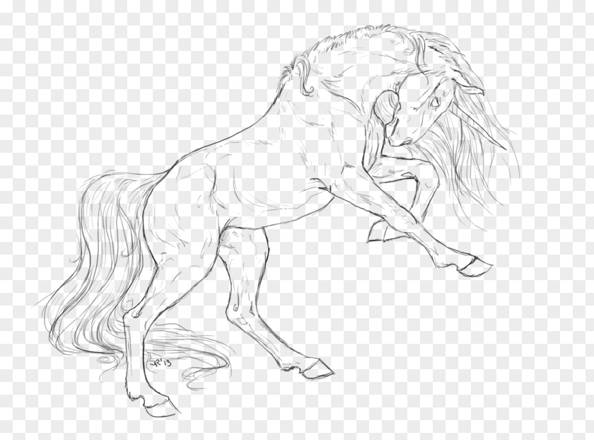 Mustang Mane Pack Animal Drawing Sketch PNG