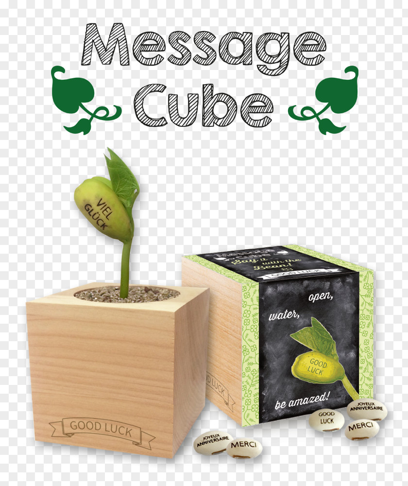 Cube Flowerpot Green Promotional Merchandise Environmentally Friendly PNG
