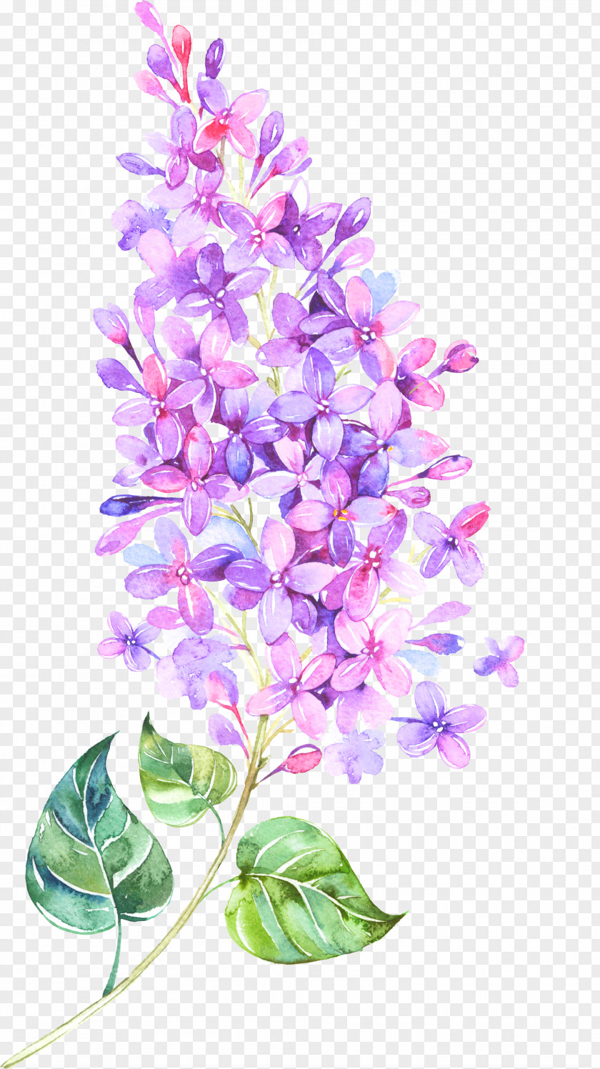 Floating Flower Lilac Violet Clip Art PNG