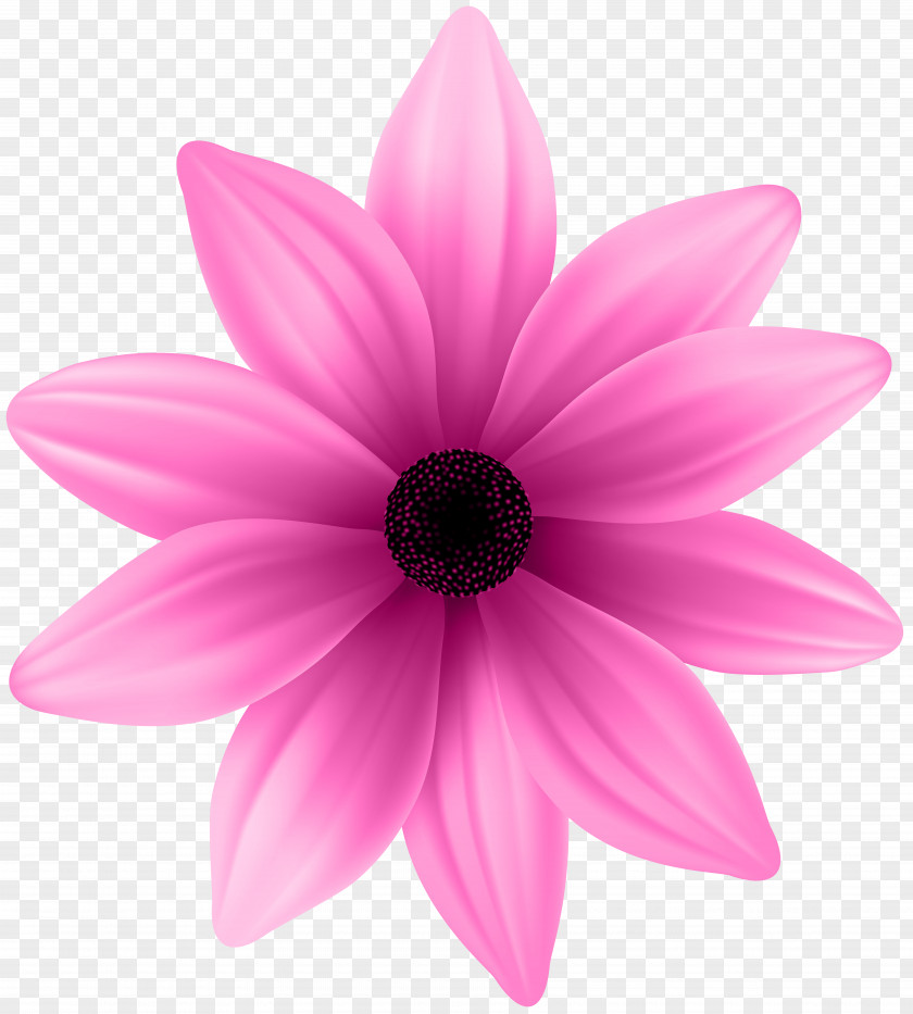 Flower Pink Clip Art Image PNG