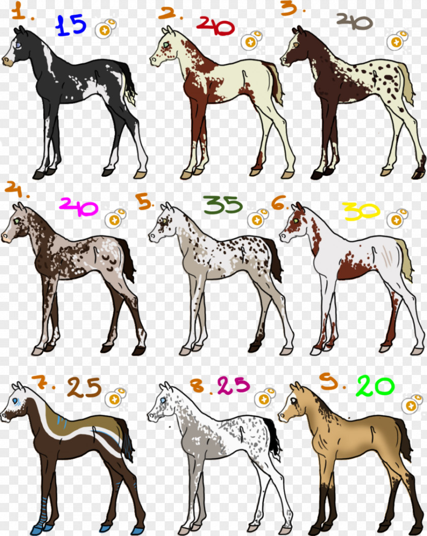 Painted Horse Mustang Foal Colt Mane Pack Animal PNG