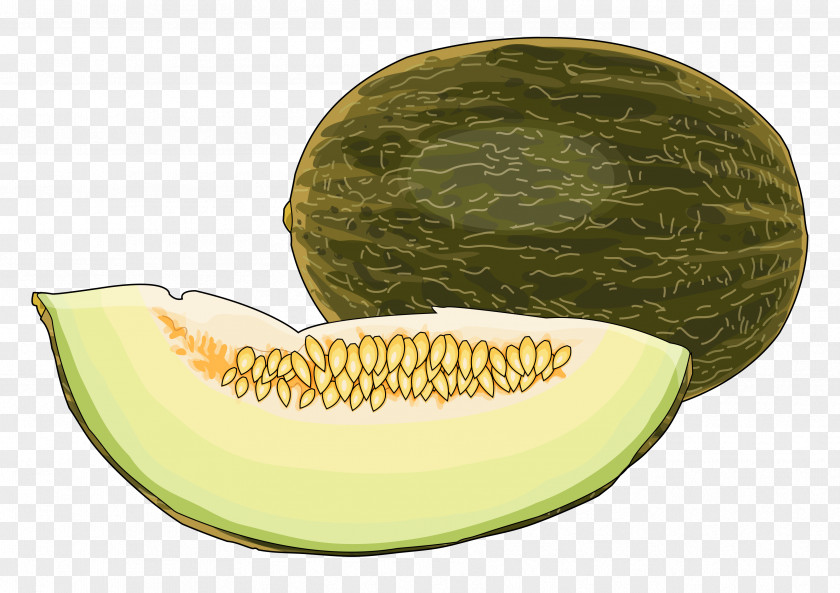Watermelon Honeydew Cantaloupe Quince Cheese Technology PNG