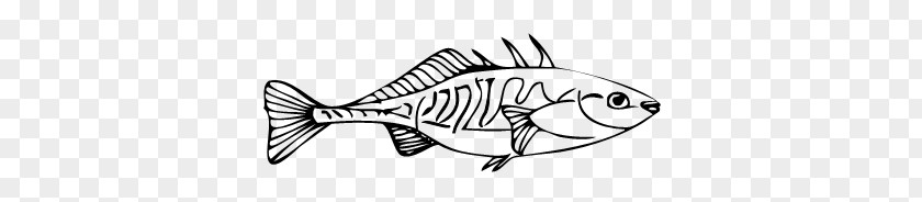 Black Outline Of A Fish Clip Art PNG