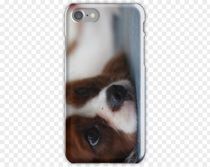 Dog Snout Whiskers Mobile Phone Accessories Phones PNG