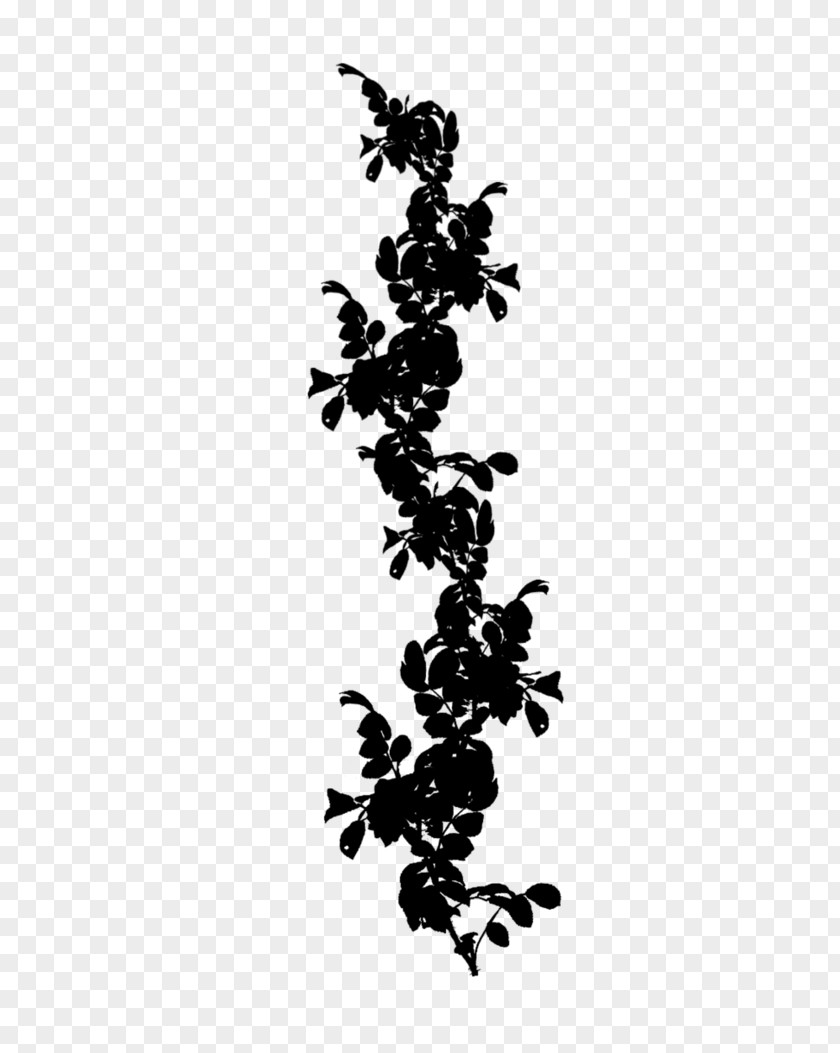 Grape Font Line Leaf Black M PNG