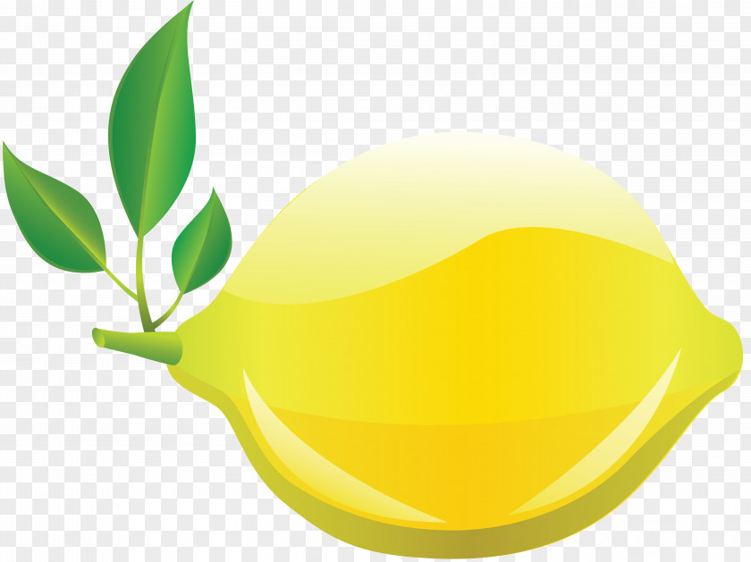 Lemon Citron Drawing Fruit Key Lime PNG