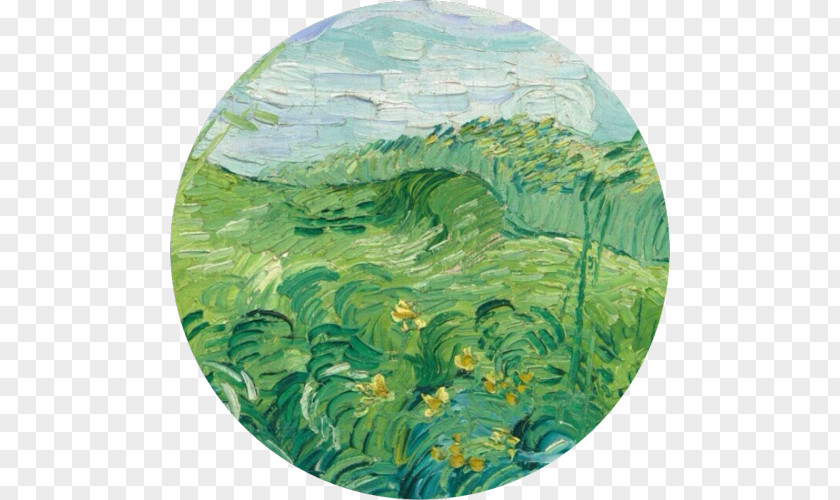 Painting National Gallery Of Art Green Wheat Field With Cypress Fields, Auvers PNG