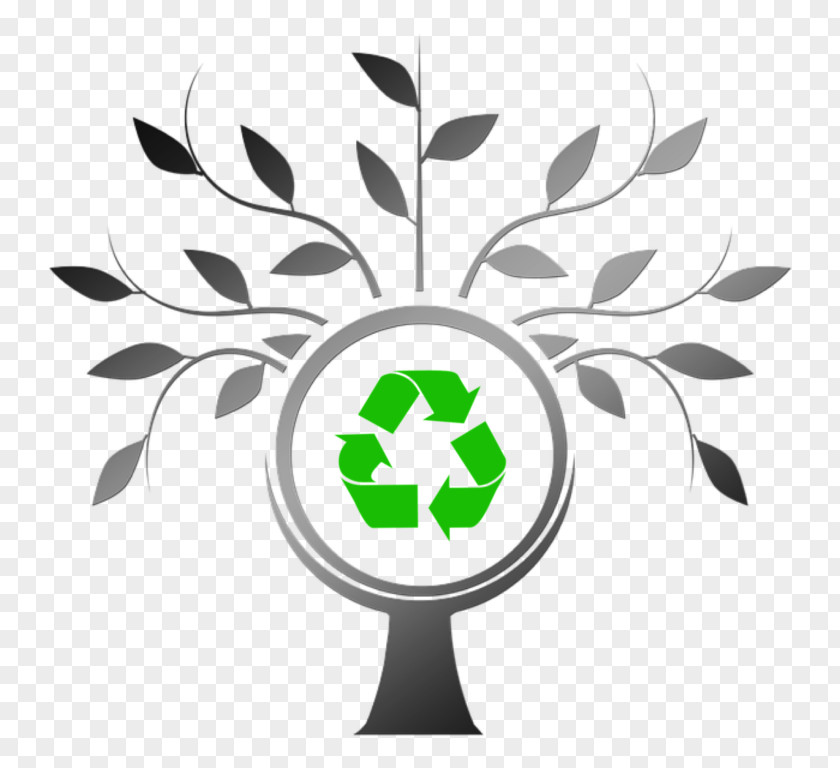 Tree Organization Waste Management Clip Art PNG