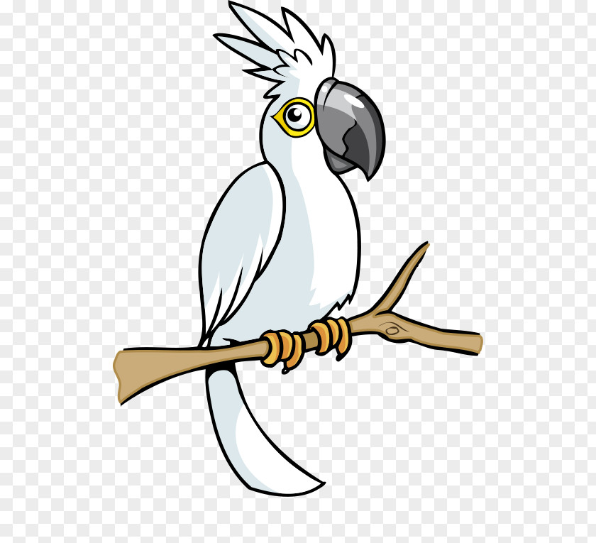 White Cartoon Parrot Bird Cockatoo Clip Art PNG