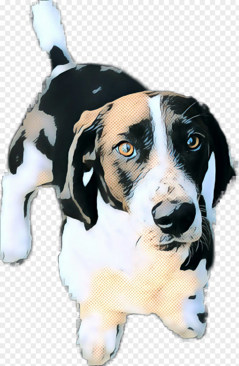 Dog Breed Treeing Walker Coonhound Black And Tan PNG