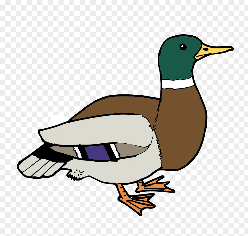 Duck Ducks, Geese And Swans Clip Art Openclipart Free Content PNG
