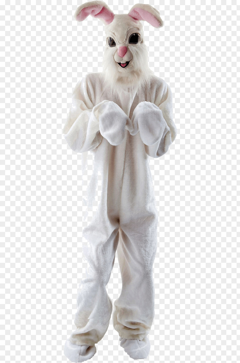 Easter Bunny Costume Party Rabbit PNG