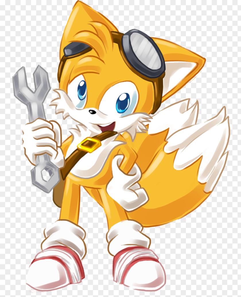 Fox Tails Sonic Boom: Rise Of Lyric Chaos Sticks The Badger PNG