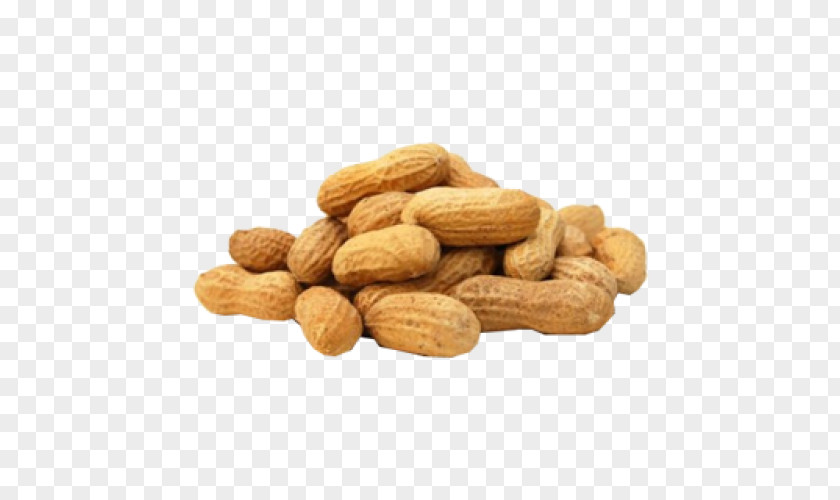 Groundnut Food High-density Lipoprotein Cholesterol Allergy Diet PNG