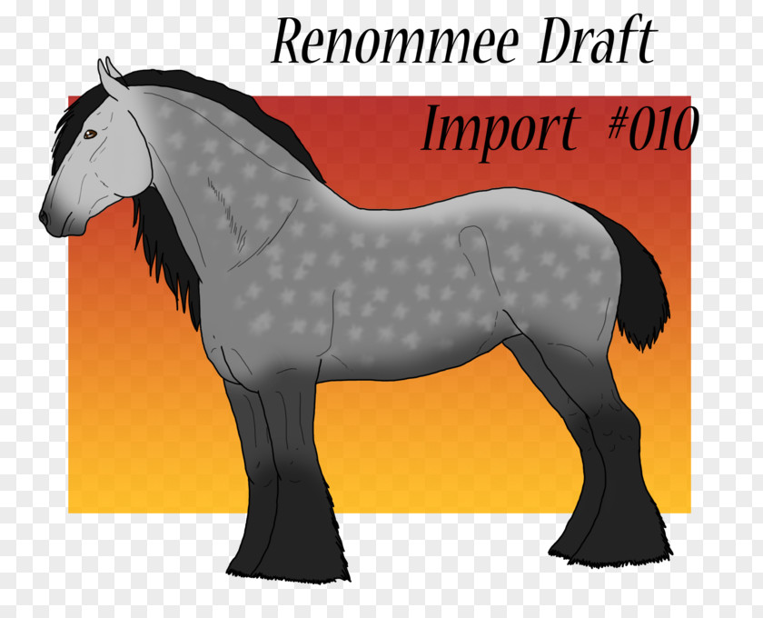 Horse Nervous System Mustang Mane Foal Stallion Mare PNG