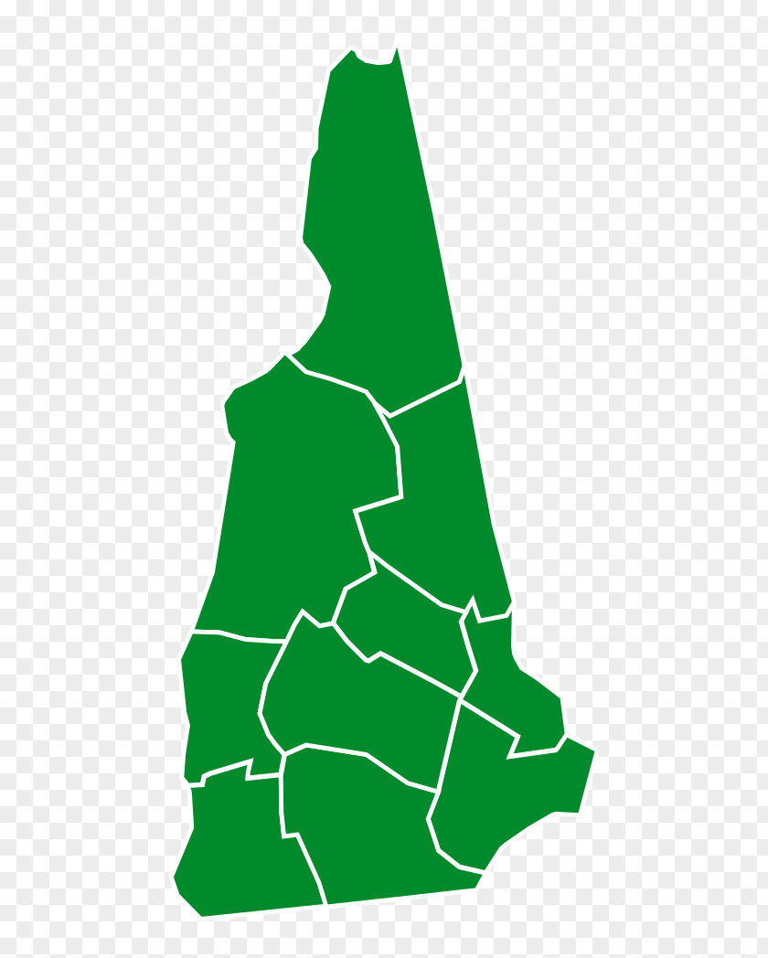 New Hampshire Primary United States Presidential Election In Hampshire, 2016 US Democratic Primary, Senate Elections, 2018 PNG