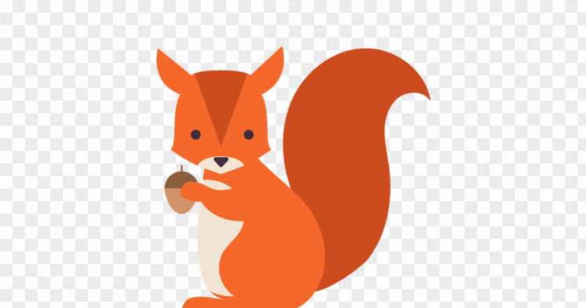 Red Fox Snout Drawing PNG