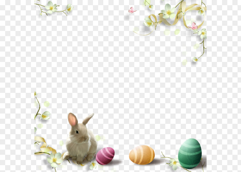 Small Fresh Decorative Pattern Rabbit Eggs Easter Picture Frame Tableau Child PNG