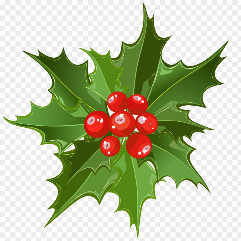 Christmas Mistletoe Art Santa Claus Clip PNG