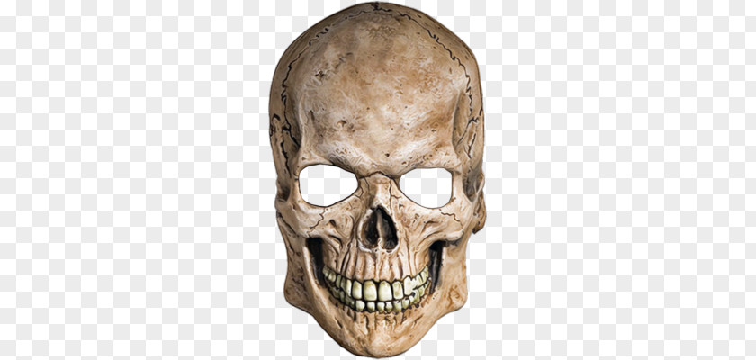 Skeleton PNG clipart PNG