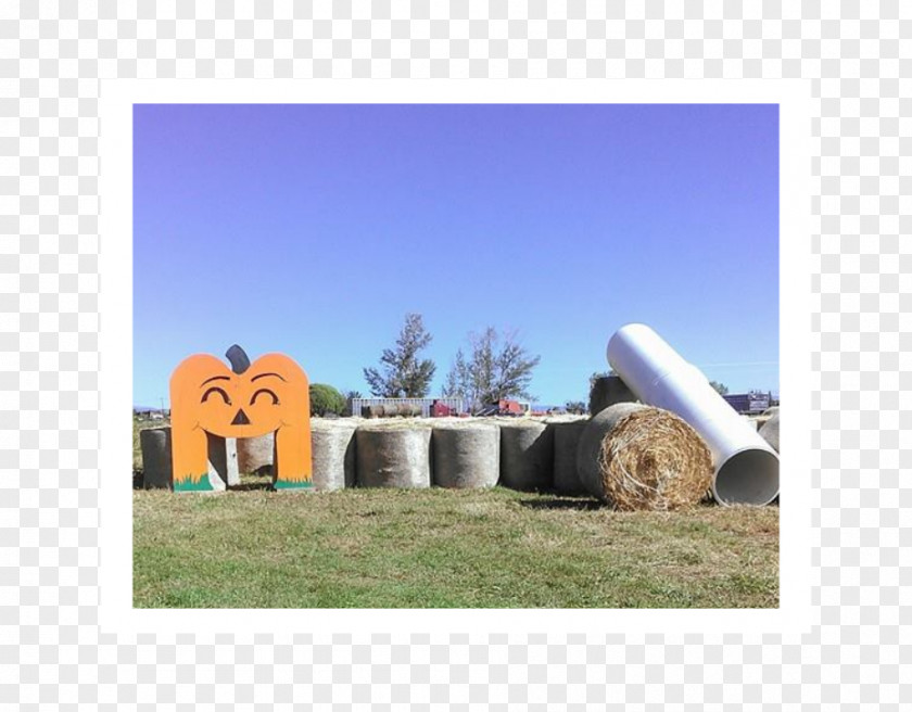 Taobao Concession Roll Farm Goat Corn Maze Ranch Hay PNG