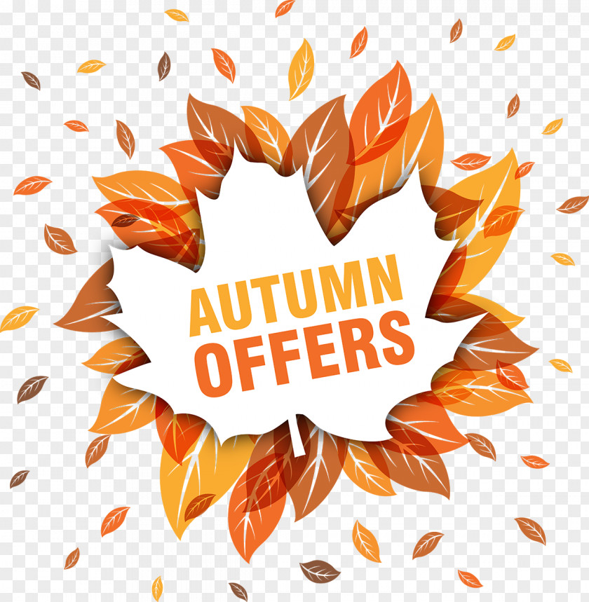 Vector Decorative Autumn Promotions PNG