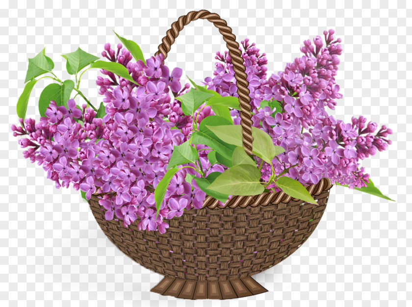 Lilac Flower Desktop Wallpaper Clip Art PNG