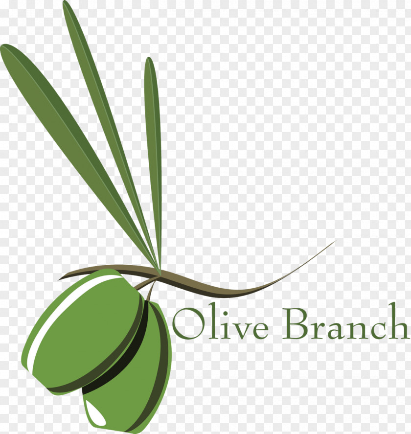 Olive Branch Petition Tapas Stock Photography PNG