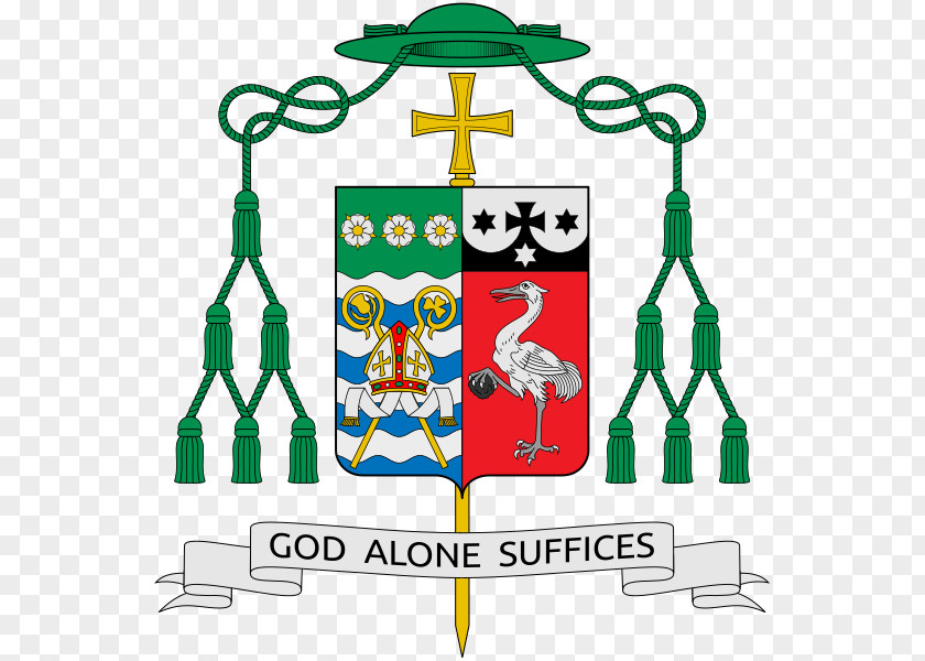 Roman Catholic Diocese Of Laredo Rockville Centre Saginaw Bishop PNG