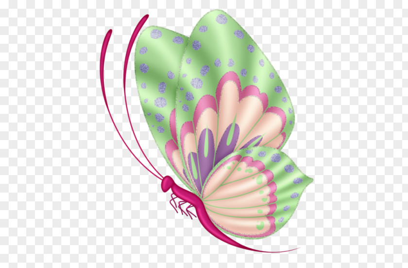 Butterfly Drawing Painting PNG