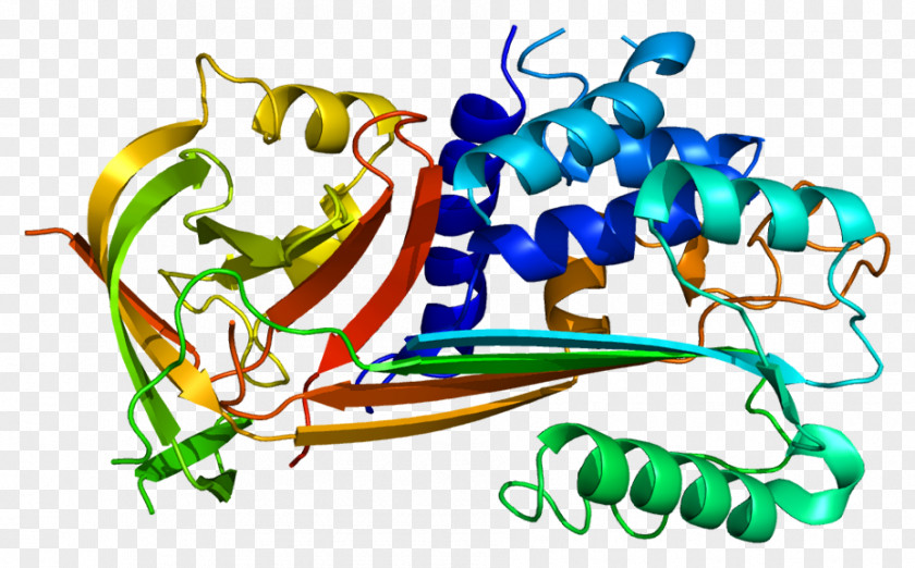Plasminogen Activator Inhibitor-2 Inhibitor-1 Serpin PNG