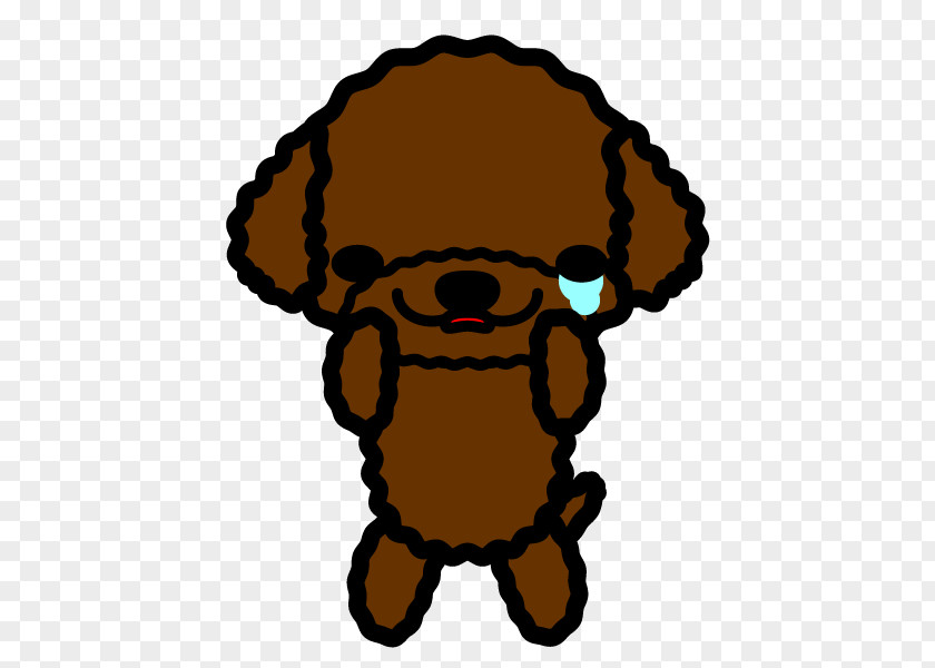Puppy Toy Poodle Standard Miniature PNG